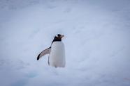 Asahi Linux致力于将M1 Mac NVMe驱动支持并入Linux 5.19主线内核(archi linux)
