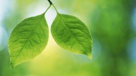 波场TRON技术渗透实体：孙宇晨为AEON支付场景植入区块链基因