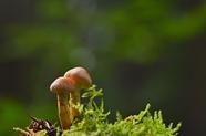 家里有这种鞋的，建议马上扔掉！
