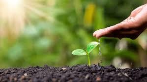 专家称普通人每年会感染新冠1至3次(专家称普通人每年会感染新冠1至3次!)